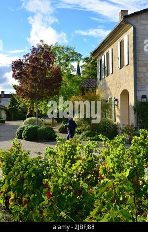 France. Nouvelle-Aquitaine. Gironde (33) Wines and vineyards of Medoc. Cantenac. Graves. The cellars of Chateau Palmer are like a small village with d Stock Photo