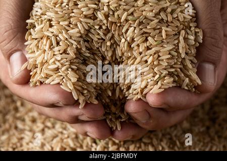 Close-up view of crop hands full of raw wholewheat rice Stock Photo