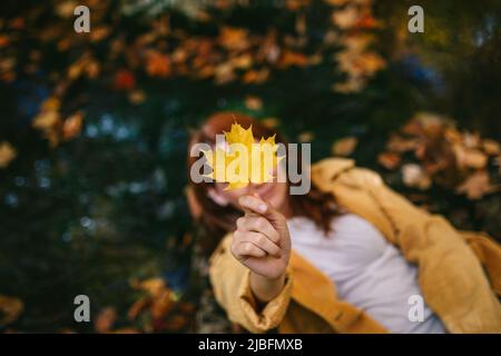 From above unrecognizable female in warm clothes lying on fallen foliage and showing maple yellow leaf Stock Photo