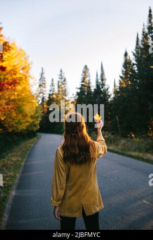 Back view of unrecognizable young female tourist with long brown hair in casual clothes holding golden maple leaf in hand while standing on asphalt ro Stock Photo
