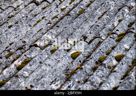 Dangerous asbestos roofs are still common in the poverty parties of the Carpathian Mountains in Poland and Ukraine. Asbestic tile on the barn roof, Bi Stock Photo