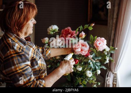 Side view of senior concentrated woman with dark hair refreshing bouquet of pink roses, holding flowers. Mothers day. Stock Photo