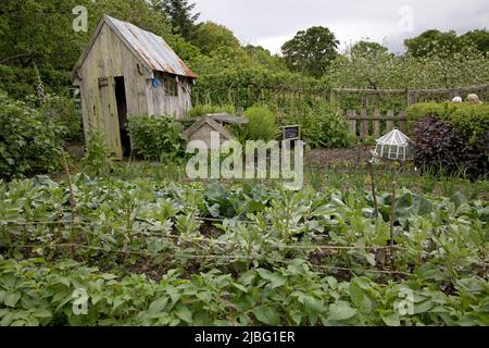 RHS Garden Rosemoor North Devon Stock Photo