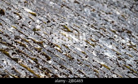 Dangerous asbestos roofs are still common in the poverty parties of the Carpathian Mountains in Poland and Ukraine. Asbestic tile on the barn roof, Bi Stock Photo