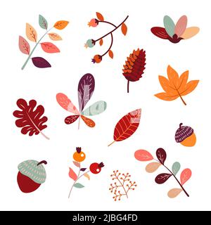 Cute autumn set of different berries, leaves and plants. Seasonal fall blueberry, maple, oak leaves, chestnut, barberry and acorn. Autumnal flat vector illustration isolated on white background. Stock Vector