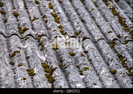 Dangerous asbestos roofs are still common in the poverty parties of the Carpathian Mountains in Poland and Ukraine. Asbestic tile on the barn roof, Bi Stock Photo