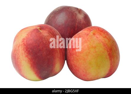 Red ripe sweet juicy delicious peaches, isolated on white background Stock Photo
