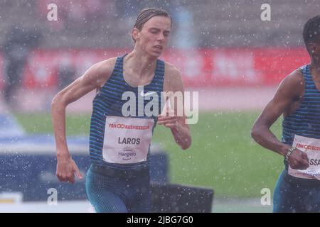HENGELO Niels Laros Netherlands In Action In The 800 Meters At The hengelo-niels-laros-netherlands-in-action-in-the-800-meters-at-the