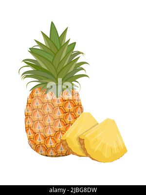 Pineapple, whole with leaves and slices, flat style vector illustration isolated on white background Stock Vector