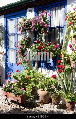 The Courtyards Festival of Córdoba. Many houses of the historic center open their private patios to the public and compete in a contest. Stock Photo