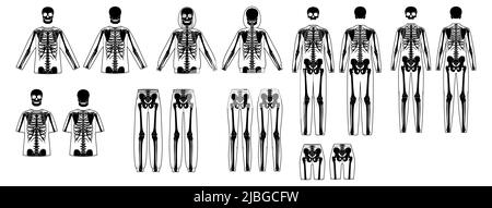 Set of Skeleton costume Human bones on bodysuit front back view