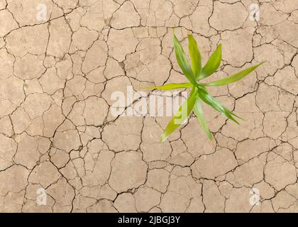 Close of a photo of seamless cracked soil. Concept of drought and climate change. Stock Photo
