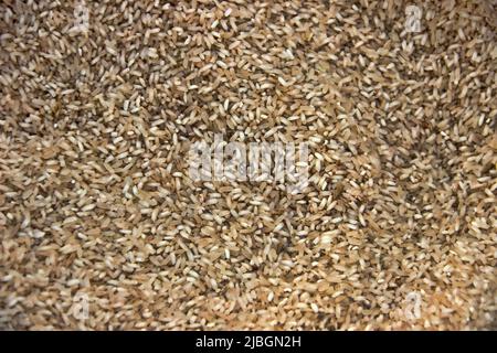 Rice background. Varieties of Sri Lankan rice Stock Photo - Alamy