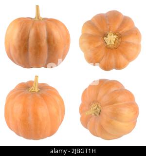 Pumpkins isolated on white background Stock Photo - Alamy