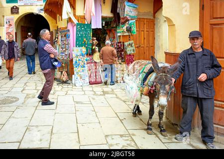Morocco Fez. A man with his donkey in the medina Stock Photo
