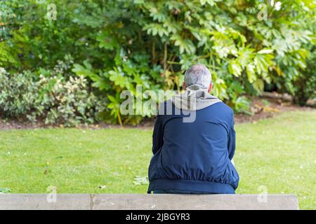 The back of a man with grey hair sitting on a wall on his own surrounded by plants and trees Stock Photo
