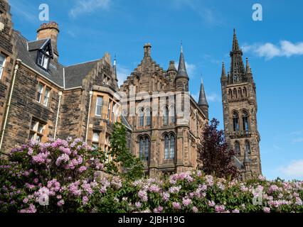 Gilbert Scott Building at the University of Glasgow. Victorian building built in the style of Gothic Revival. Photographed against clear blue sky. Stock Photo