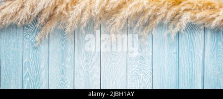 Pampas grass on blue with white painted planks texture background Stock Photo