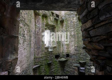 Detail of the ruins of Harlech Castle, Gwynedd, North Wales. Stock Photo