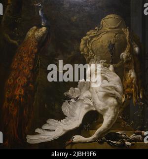 Jan Weenix (1640-1719). Dutch painter. Peacock and Hunting Trophies, 1708. Oil on canvas. Calouste Gulbenkian Museum. Lisbon, Portugal. Stock Photo