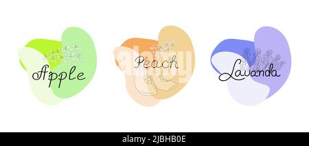 A set of abstract shapes with inscriptions Lavender, Peach, Apple. Pieces of peach, flowers. Stock Vector