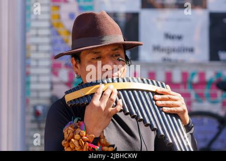 A Latin American man plays an Andean traditional music instrument  during the Do West Festival. Stock Photo