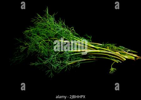 Fresh green dill isolated on black Stock Photo