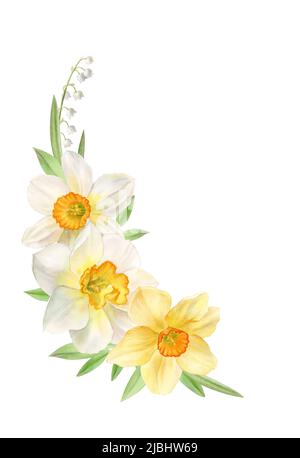 Floral decor with yellow and white daffodils, watercolor illustration Stock Photo