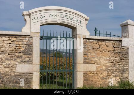 Cote d'Or, Burgundy, France - 15th October 2022 - Ornate gateway in a wall into famous Clos Des Epeneauux vineyards Stock Photo