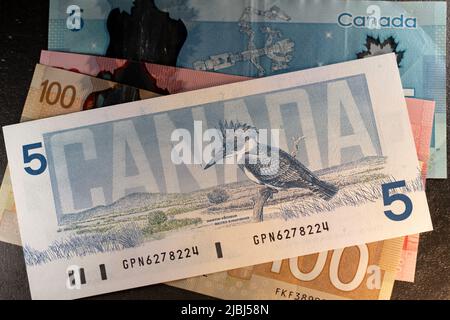 Toronto, Canada - October 30. 2021: Birds of canada banknote on top of new design of Canadian banknotes Stock Photo