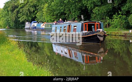 Canal boats and barge, sailing up the Bridgewater canal in the Summer, between Lymm and Grappenhall, Cheshire, England, UK, WA4 Stock Photo