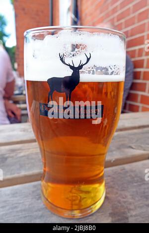 The Brewery Tap with a pint of beer, 18 Bridgewater Street, Lymm, Cheshire, England, UK,  WA13 0AB Stock Photo