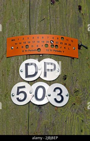 BT OpenReach Telegraph Pole, Cliff Ln, Grappenhall, Warrington, Cheshire, England, UK, WA4 2TS - ID numbers to identify equipment & servicing Stock Photo