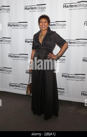 New York, Ny. 06th June, 2022. Tamara Tunie attends the Harlem Stage Annual Gala - New York, NY on June 6, 2022. (Photo by Udo Salters/Sipa USA) Credit: Sipa USA/Alamy Live News Stock Photo