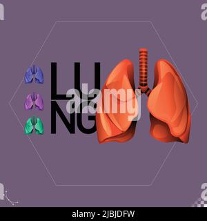 Modern beautiful stylized monotone human lung organ symbols and icons - part of a set Stock Vector