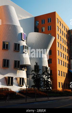 Frank Gehry's unique Stata Center stands on the campus of gthe Massachusetts Institute of Technology, MIT, in Cambridge Stock Photo