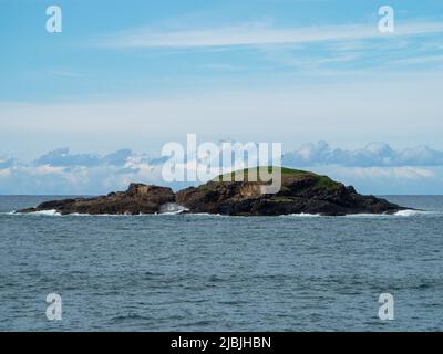 A small rocky grassy island of the coast surrounded by the blues of the Pacific Ocean and sky, a line of fluffy clouds behind, Australia Stock Photo