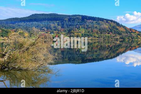 Lake Tutira in the Hawke's Bay region, New Zealand. A willow tree and a hill speckled with autumn color are reflected in the lake's still waters Stock Photo