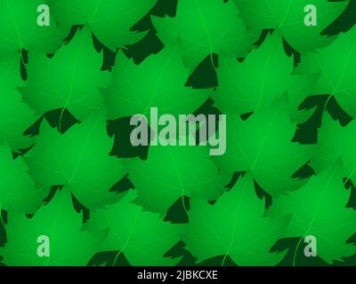 Green maple leaves pattern. Realistic maple leafs on green vector background. Stock Vector