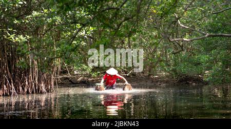 Huong Tra town, Thua Thien - Hue province, Vietnam - April 29, 2022: A man use bamboo fishing traps to catch fish in the lake. Asian man with rural li Stock Photo