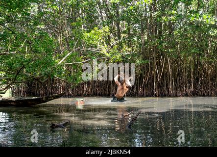 Huong Tra town, Thua Thien - Hue province, Vietnam - April 29, 2022: A man use bamboo fishing traps to catch fish in the lake. Asian man with rural li Stock Photo