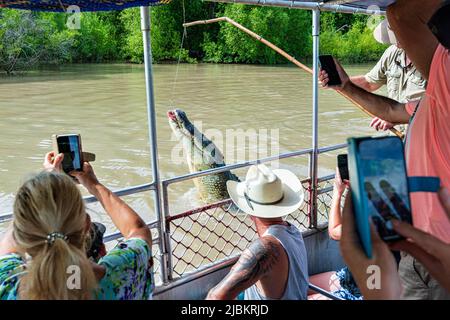 Tourists photographing a leaping Saltwater Crocodile (Crocodylus porosus) during a crocodile jumping cruise on the Adelaide River, Northern Territory, Stock Photo