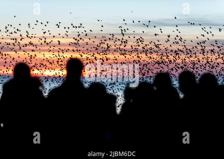BRIGHTON, ENGLAND - FEBRUARY 24: Sunset on Brighton beach this evening on February 24, 2019 in Brighton, England. (Photo by Andrew Hasson/Getty Images Stock Photo