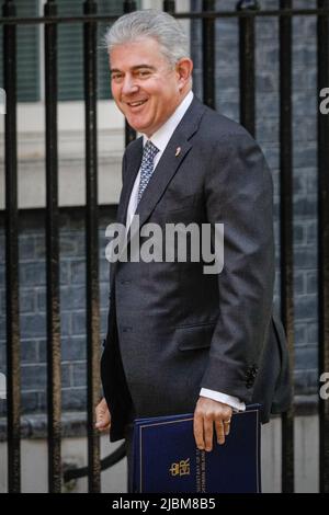 Westminster, London, UK. 07th June, 2022. Brandon Lewis, CBE, MP, Secretary of State for Northern Ireland. Ministers attend the weekly cabinet meeting at 10 Downing Street, following the vote of confidence in Boris Johnson yesterday. Credit: Imageplotter/Alamy Live News Stock Photo