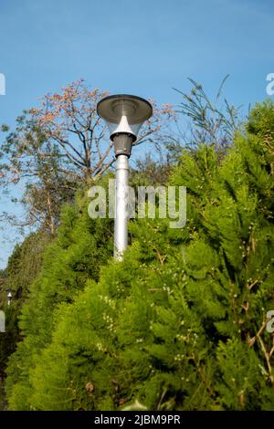 A close up shot of a lamp post surrounded by green trees in an Indian garden. Stock Photo