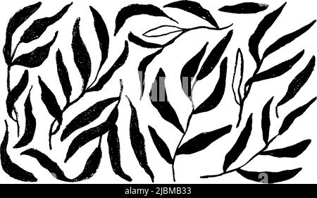 Set of branches with long black leaves. Stock Vector