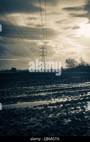 Line of Pylons and Overhead Power Lines at Sunset over flooded fields Stock Photo