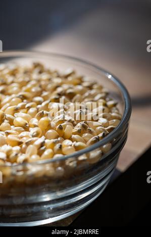 Yellow popcorn kernels in a glass bowl on a kitchen counter Stock Photo
