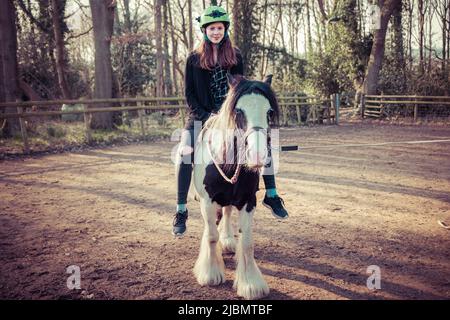 A teenage girl sitting on and riding a piebald gypsy cob draft horse pony Stock Photo