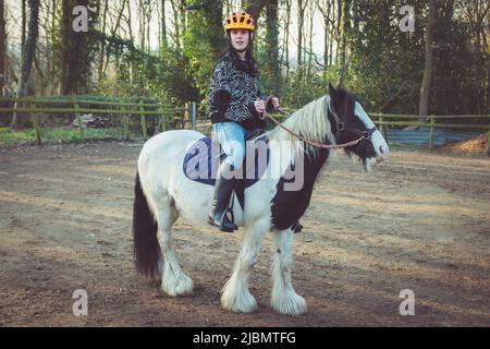 A teenage girl sitting on and riding a piebald gypsy cob draft horse pony Stock Photo